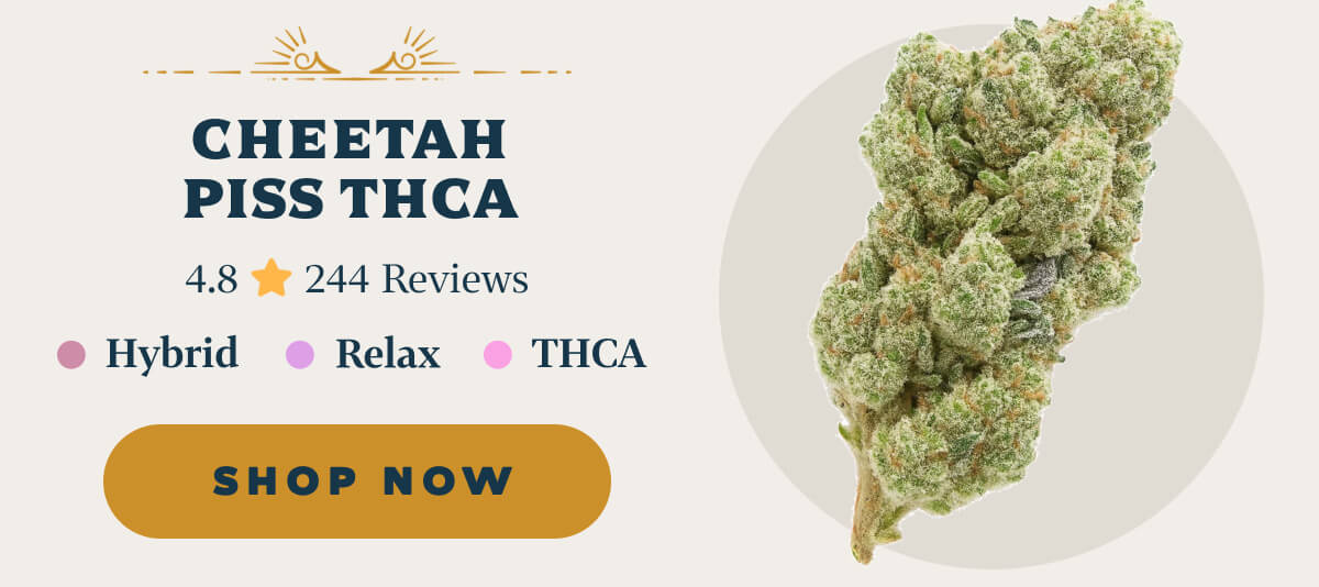 Cheetah Piss THCA 4.8 ⭐️⭐️⭐️⭐️⭐️ 244 Reviews Hybrid | Relax | THCA