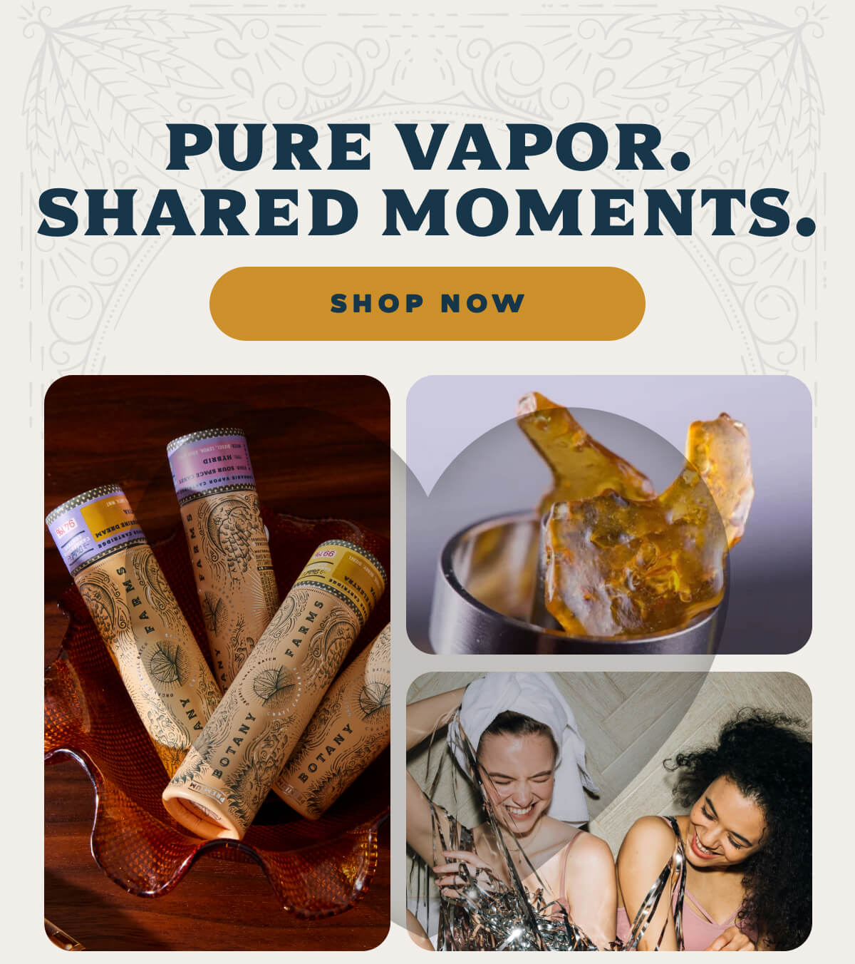 PURE VAPOR. SHARED MOMENTS.