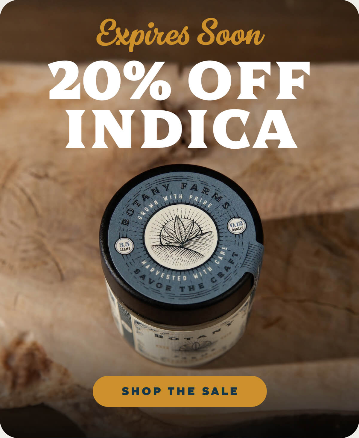 Expires Soon: 20% OFF Indica