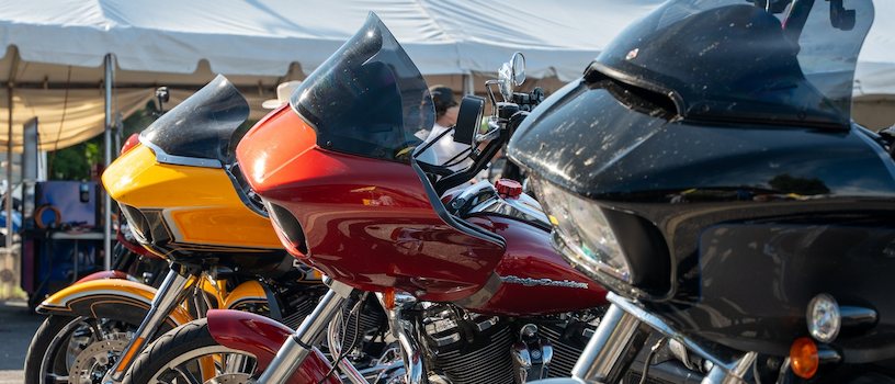 Legacy Lynx Raw 3.8 Gallon Peanut Gas Fuel Tank for Harley