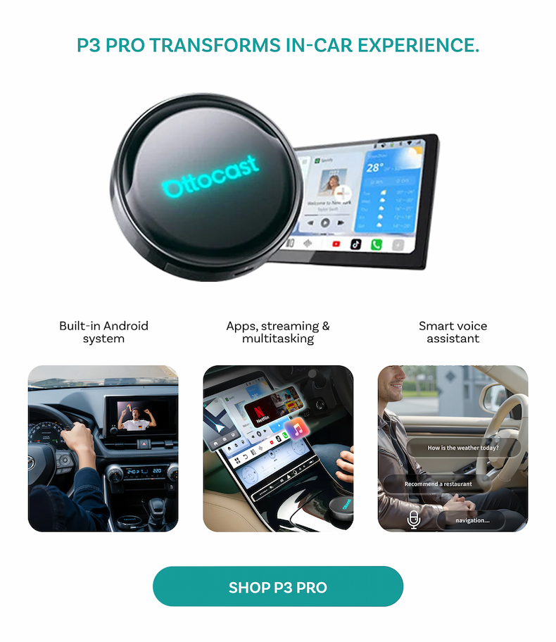 P3 PRO