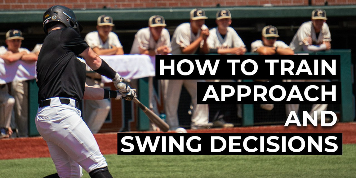 Training Approach and Swing Decisions Driveline Baseball