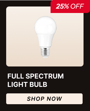 Full Spectrum Light Bulb