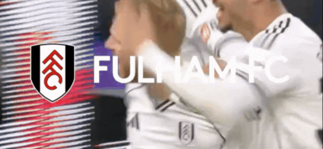Fulham Football game 