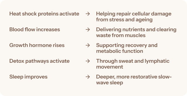 Recovery that keeps pace with your life