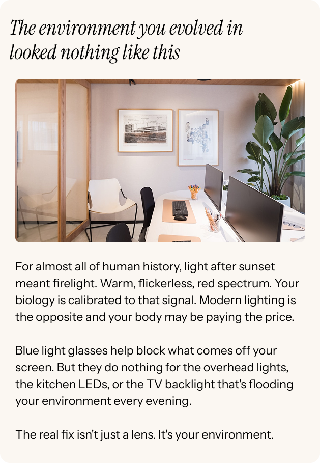 The environment you evolved in looked nothing like this