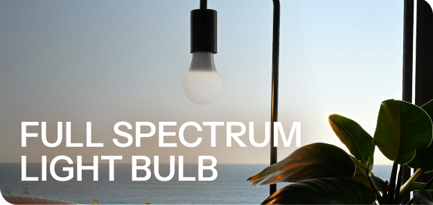 Full Spectrum Light Bulb