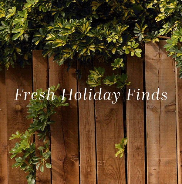 Fresh Holiday Finds