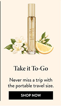 Take it To-Go | Shop Now