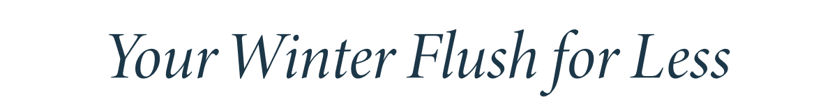 Your Winter Flush For Less