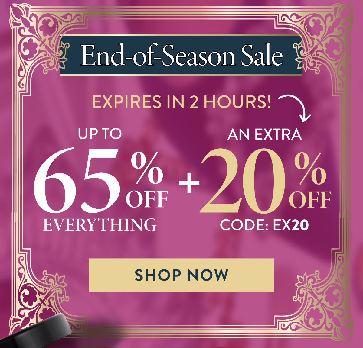 Up to 65% OFF Everything + An Extra 20% OFF | Code: EX20 | Shop Now
