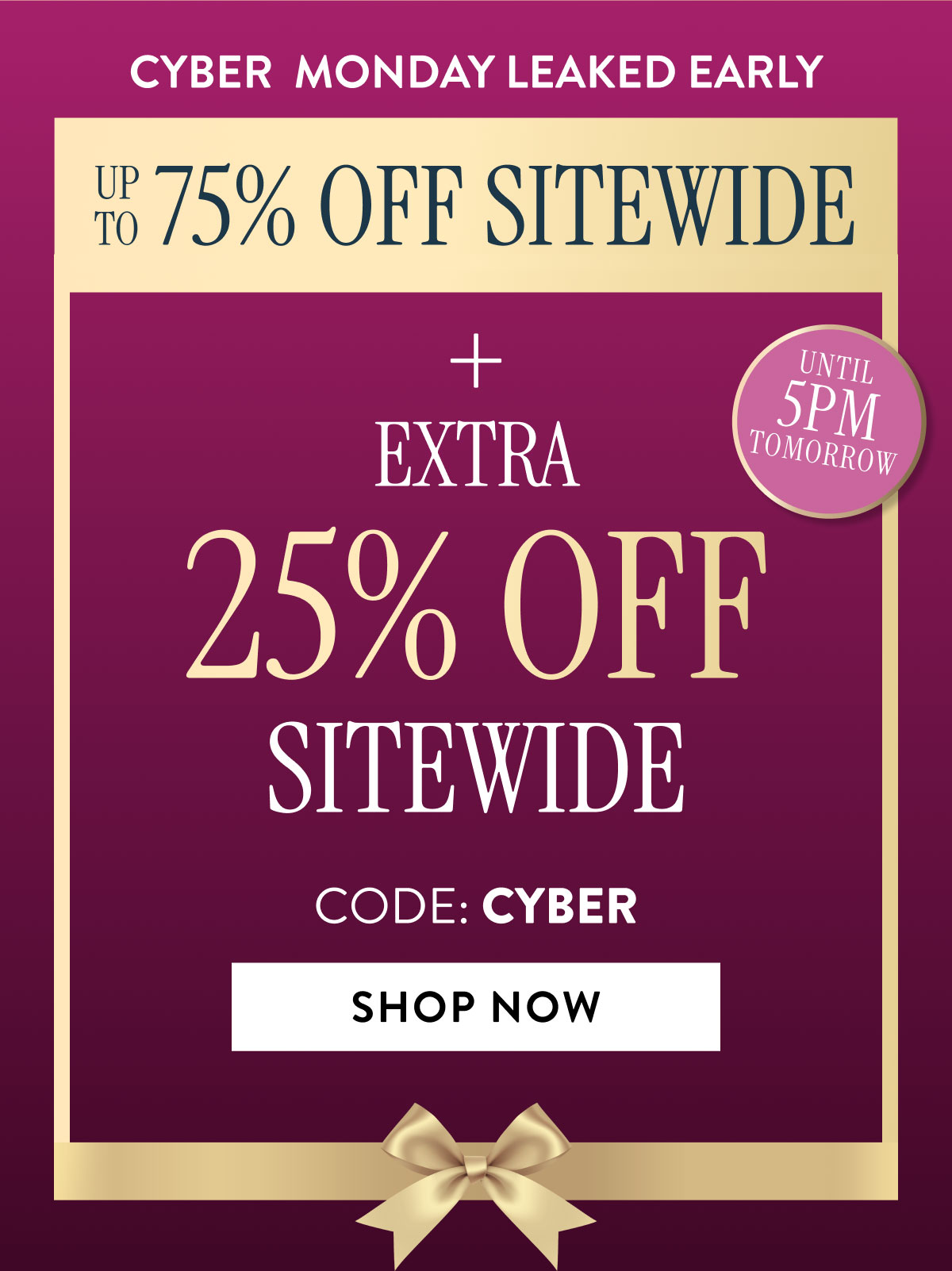 Cyber Monday Leaked Early - Up to 75% Off Sitewide + Extra 25% Off Sitewide Code: CYBER | Shop Now