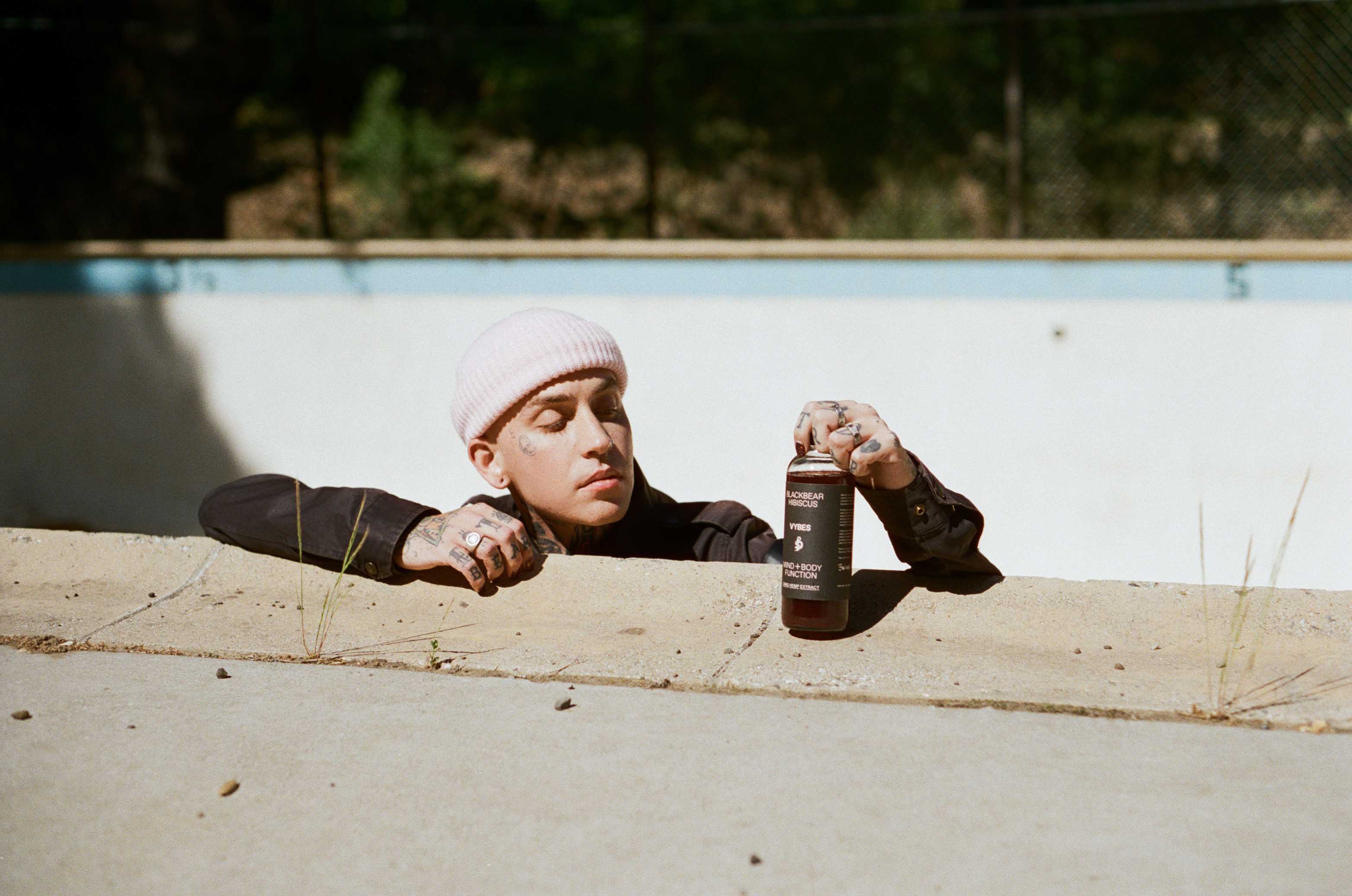 GET BLACKBEAR HIBISCUS