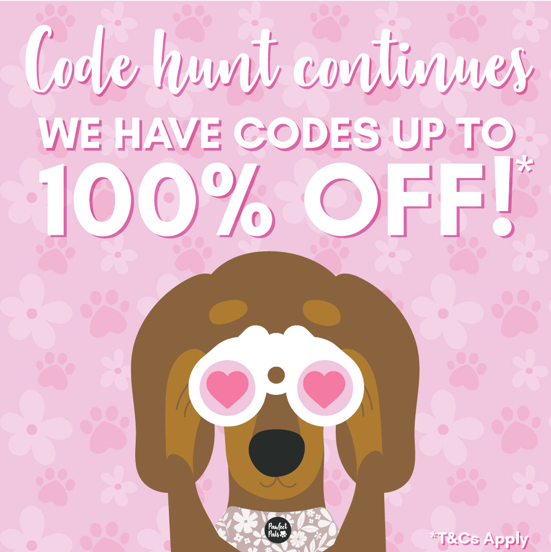 The code hunt continues! Will you get your next order FREE? 😱💝