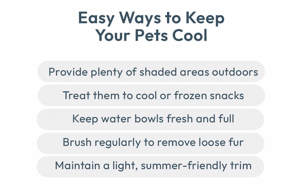 Keep Your Pet Cool