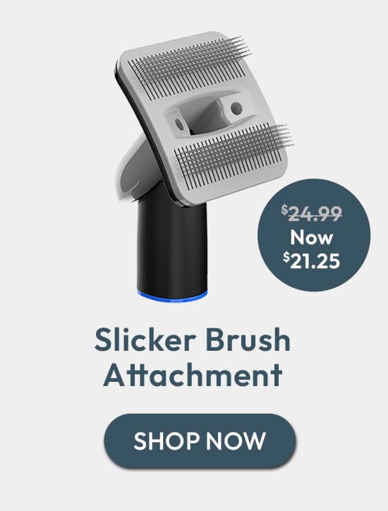 Slicker Brush