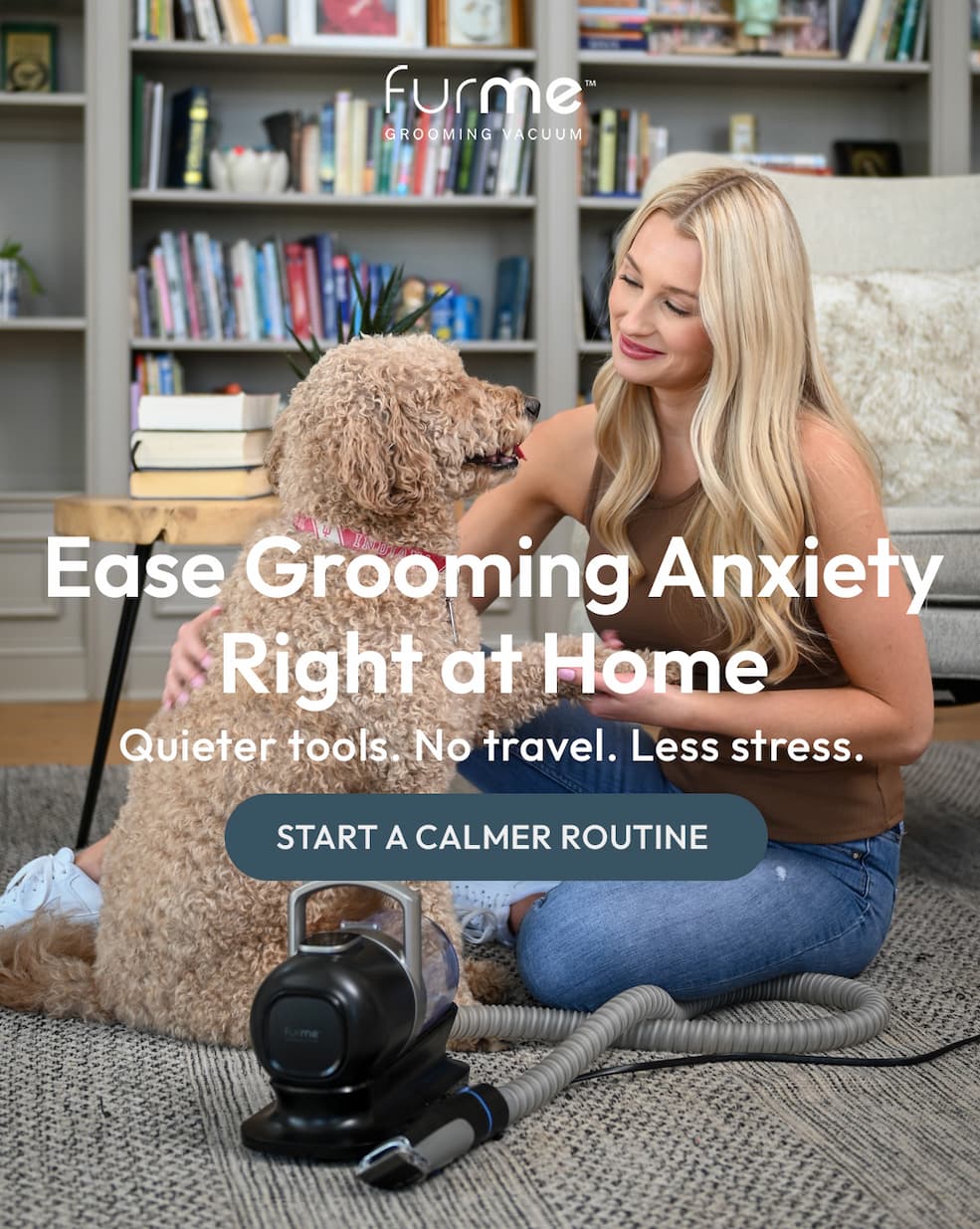 Ease Grooming Anxiety At Home