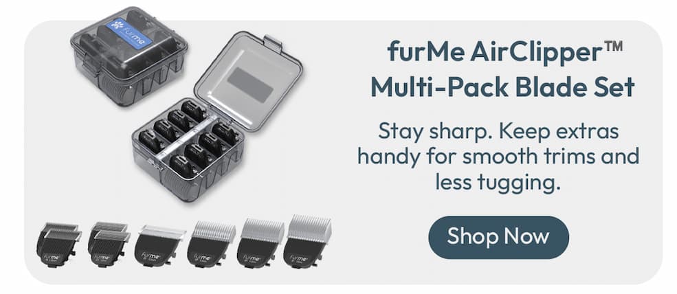 Multi Pack Glade Set