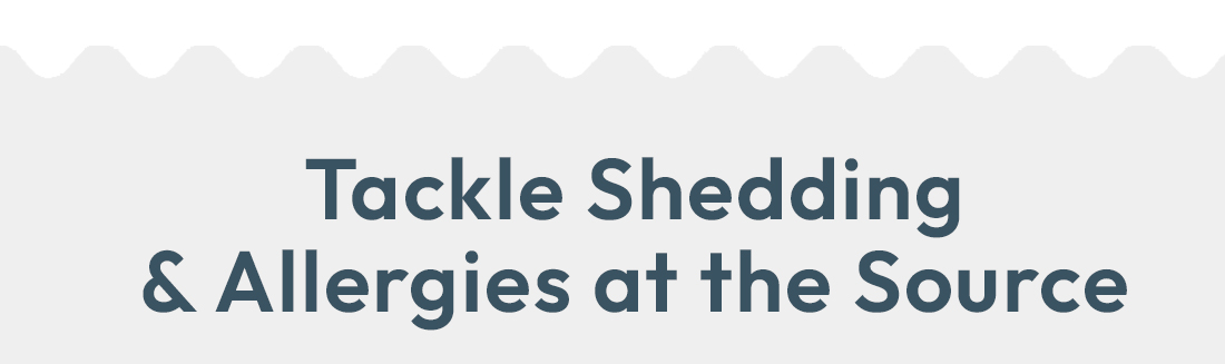 Tackle Shedding