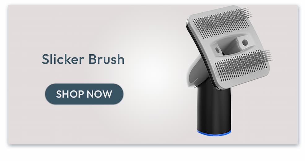 Slicker Brush