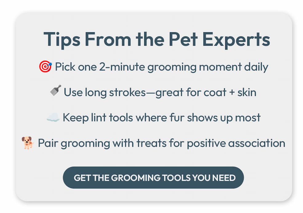 Tips