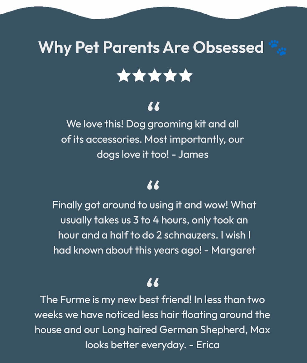 Why Pet Parents are Obsessed