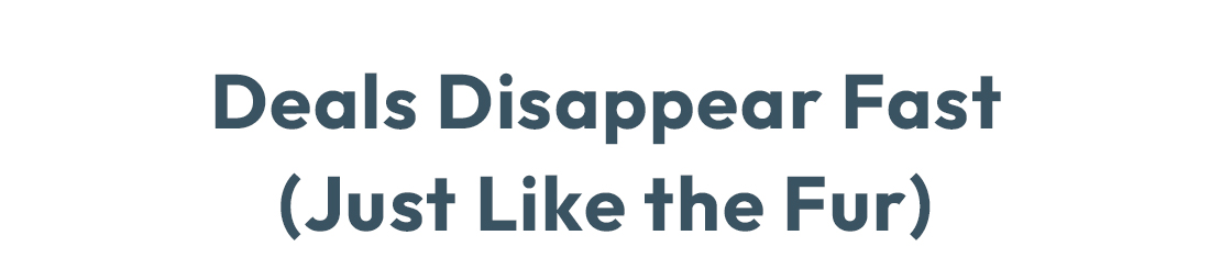 Don't miss these deals