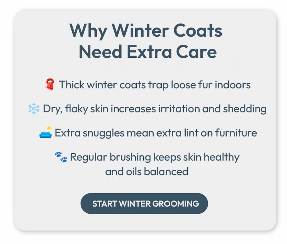 Winter Coats