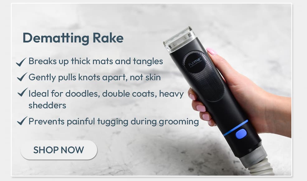 Dematting Rake