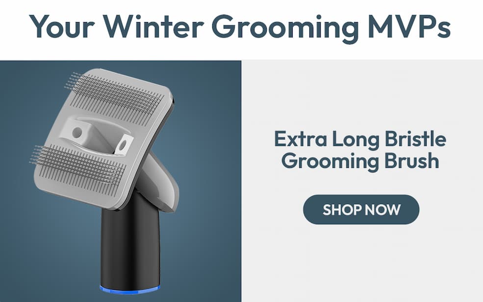 Extra Long Bristle Grooming Brush