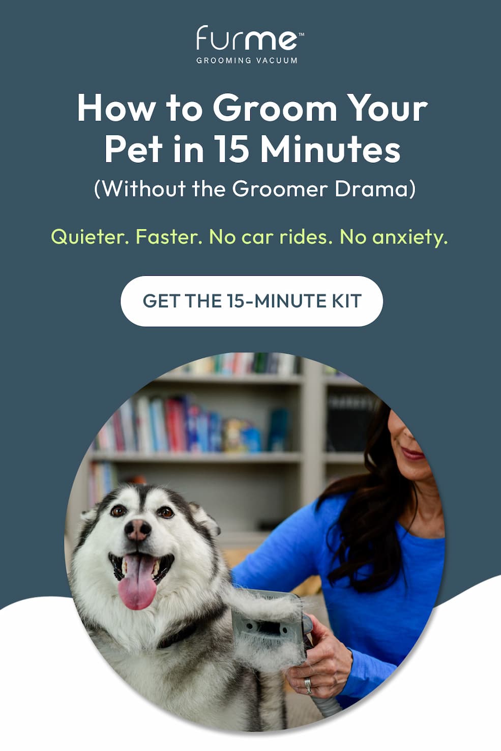 How to Groom Your Pet in 15 Minutes