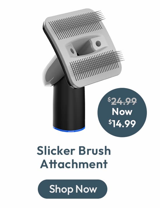 Slicker Brush