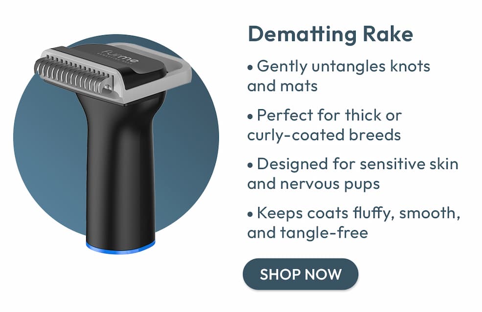 Dematting Rake