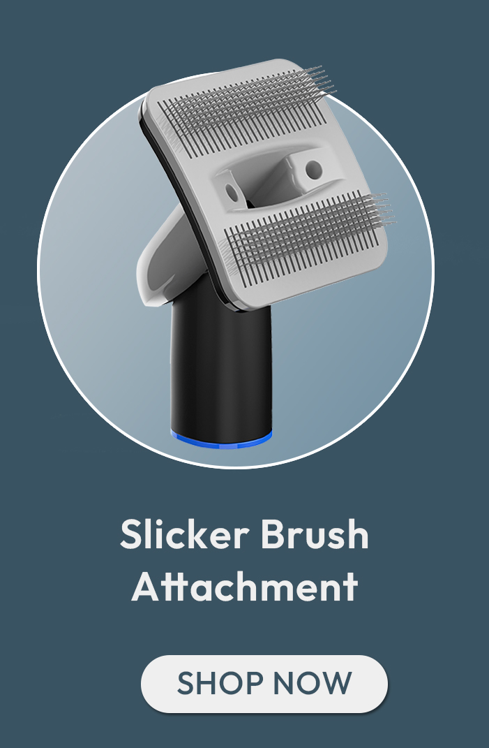 Slicker Brush