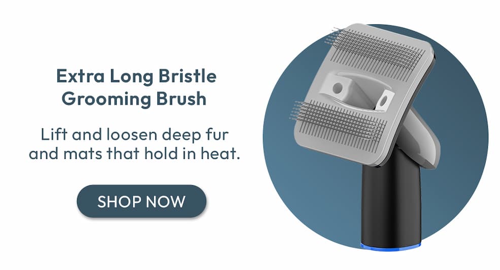 Extra Long Bristle Grooming Brush