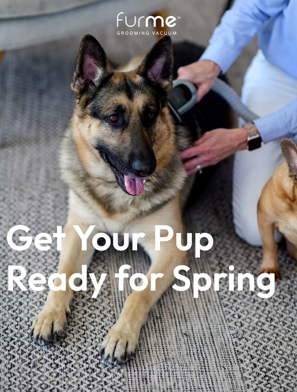 Get Your Pup Ready for Spring