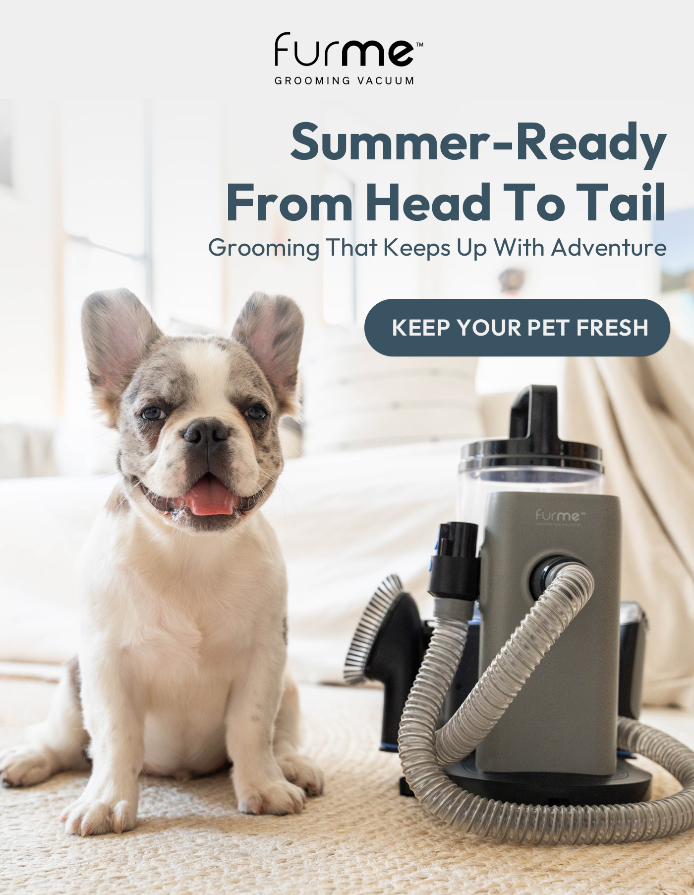 Keep Your Pet Fresh