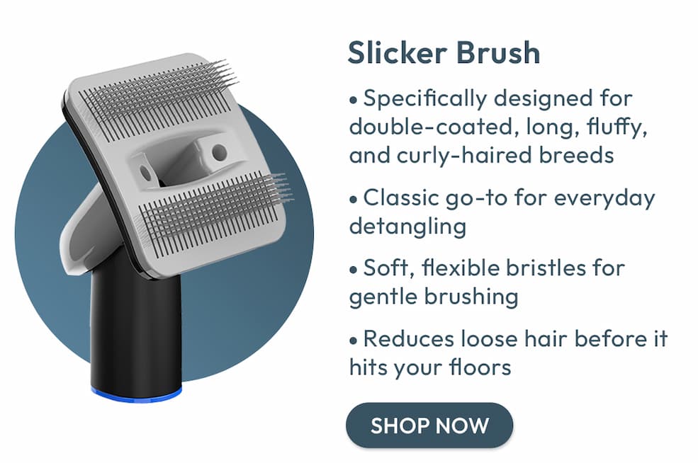 Slicker Brush