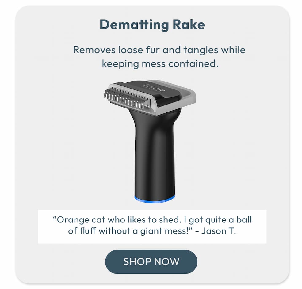 Dematting Rake