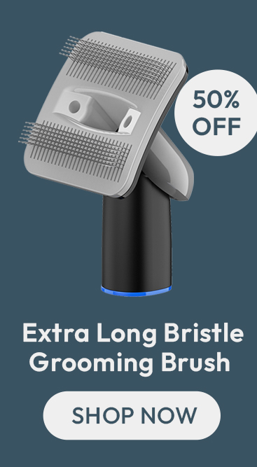 Grooming Brush