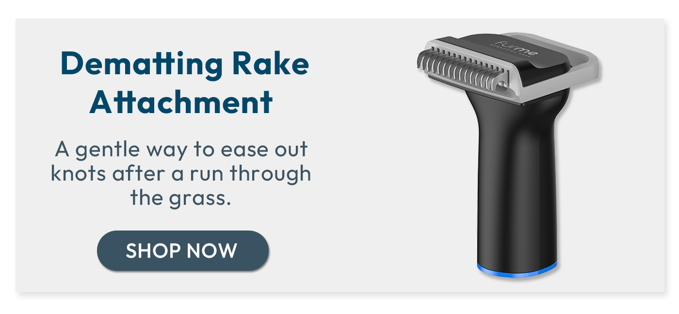 Dematting Rake Attachment