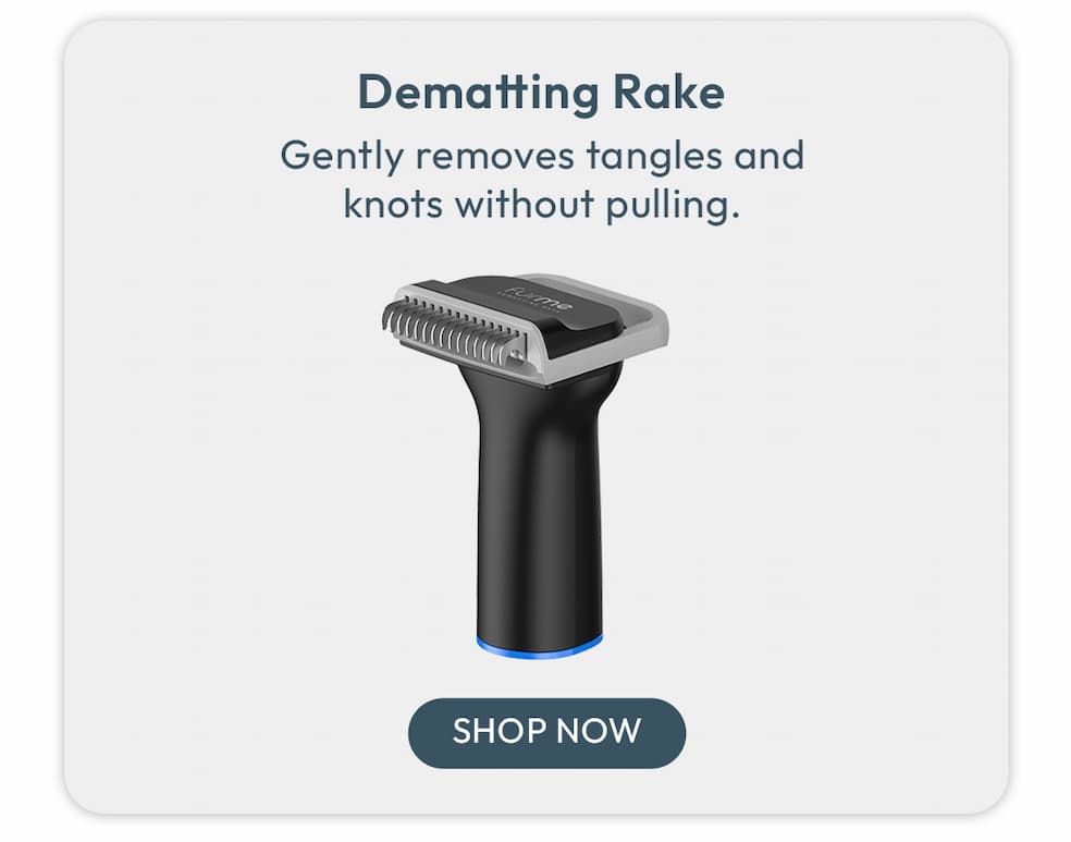 Dematting Rake