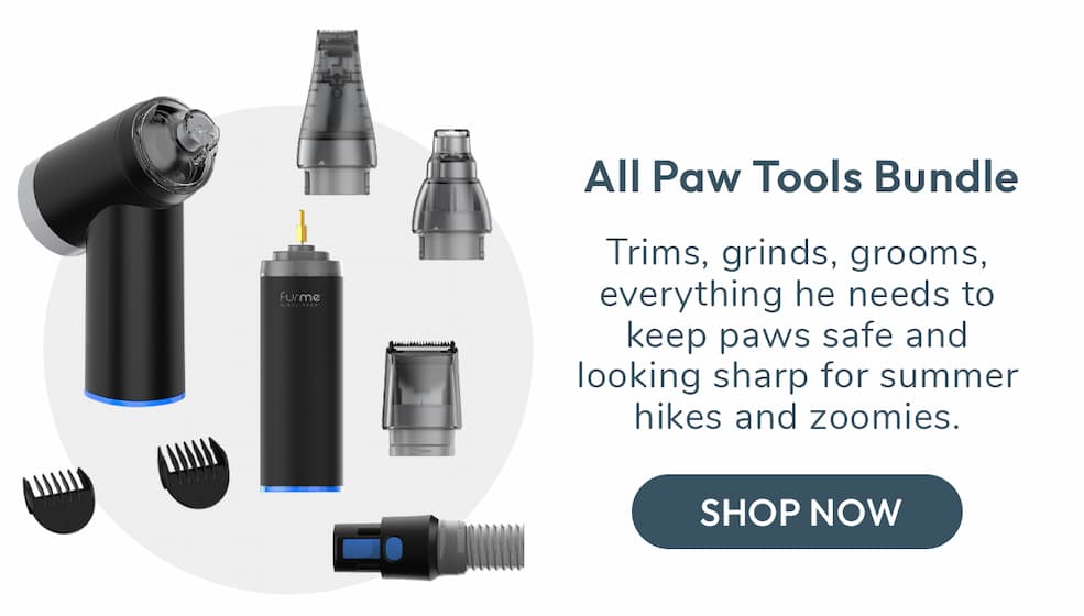 All Paw Tools Bundle