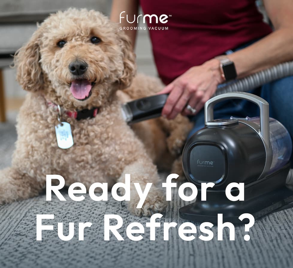 Fur Refresh