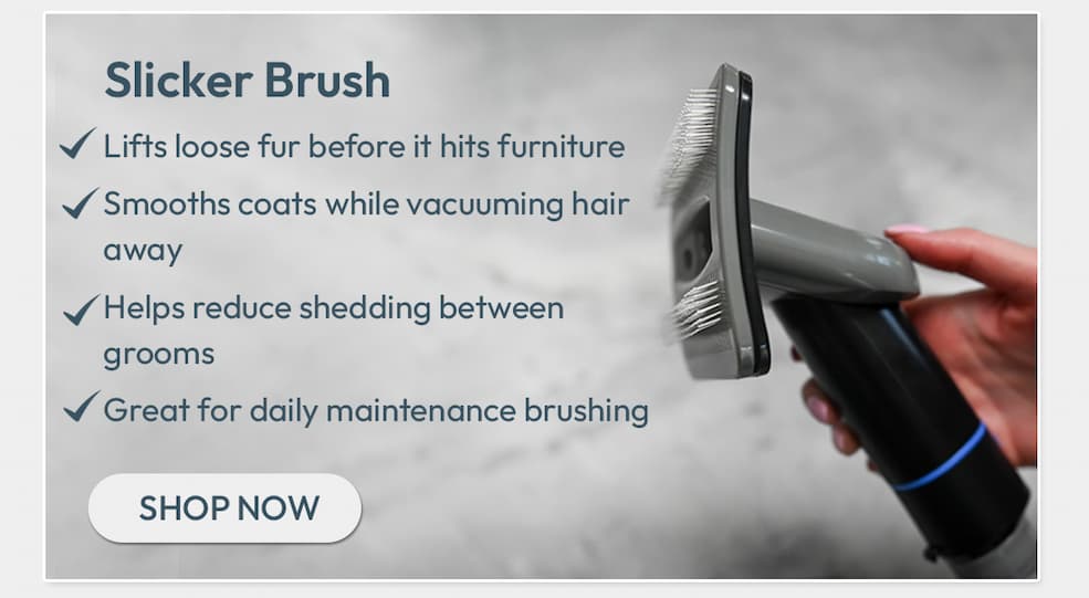 Slicker Brush