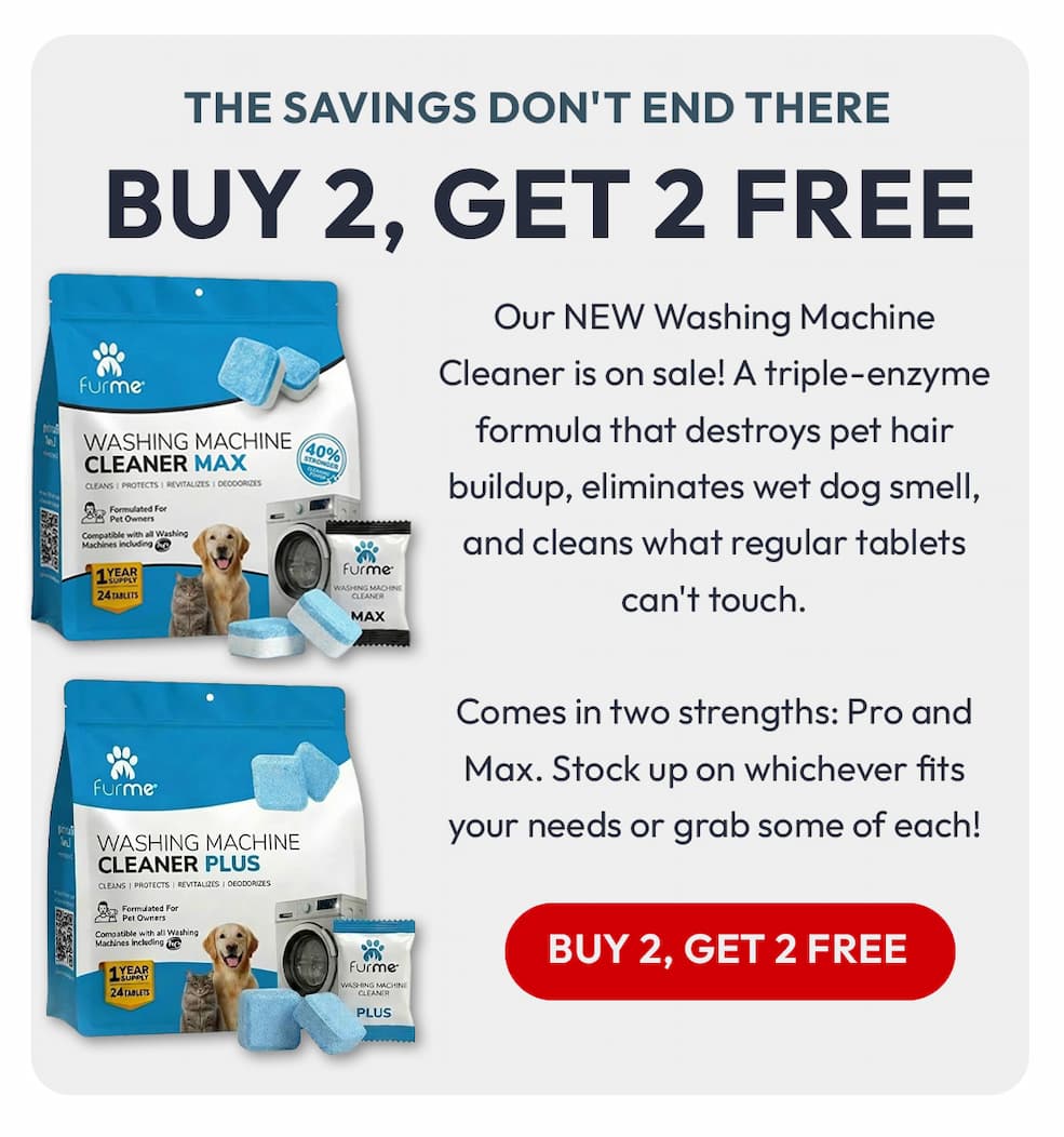 Buy 2 get 2 free