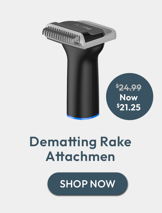 Dematting Rake