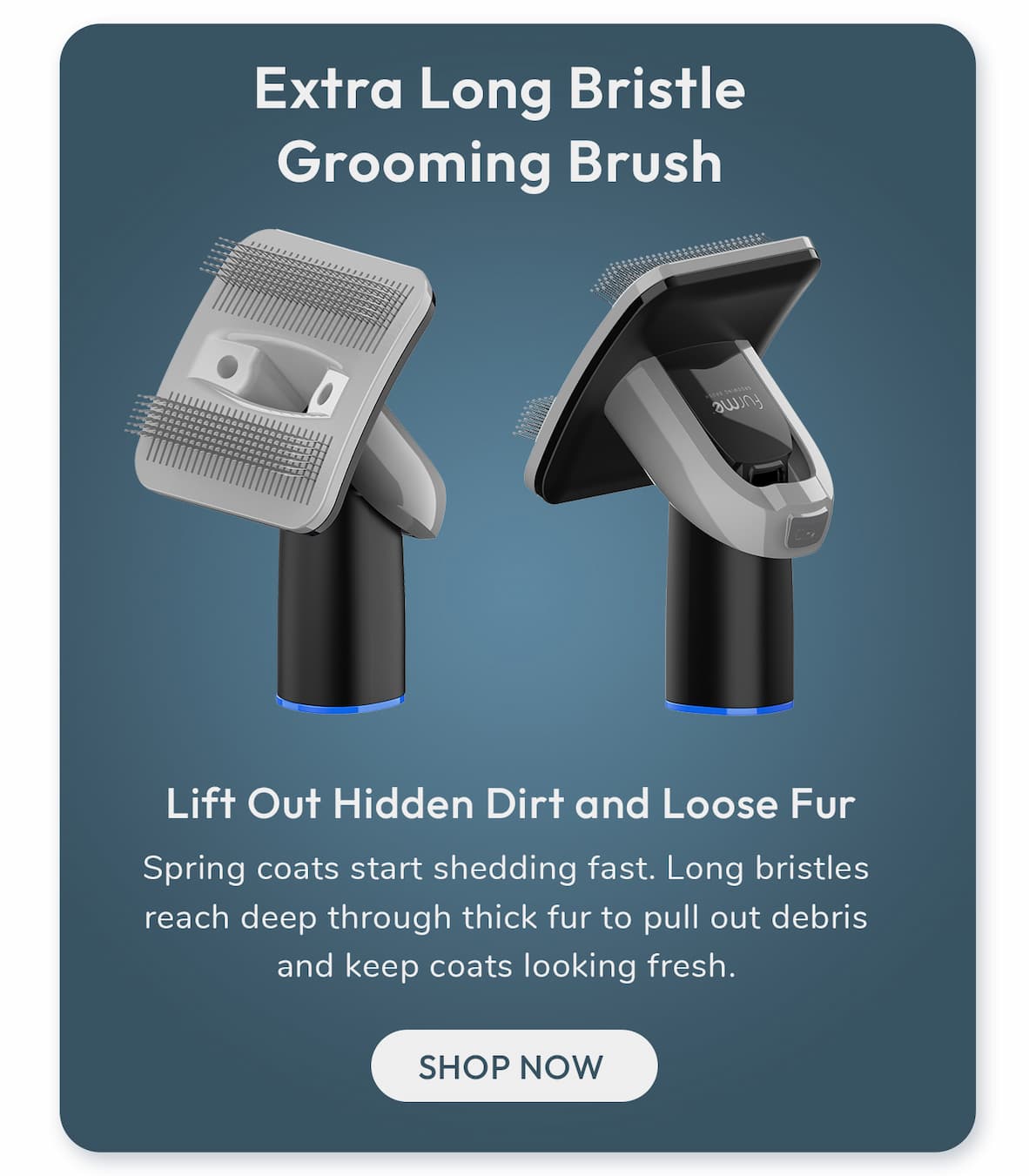 Extra Long Bristle Grooming Brush