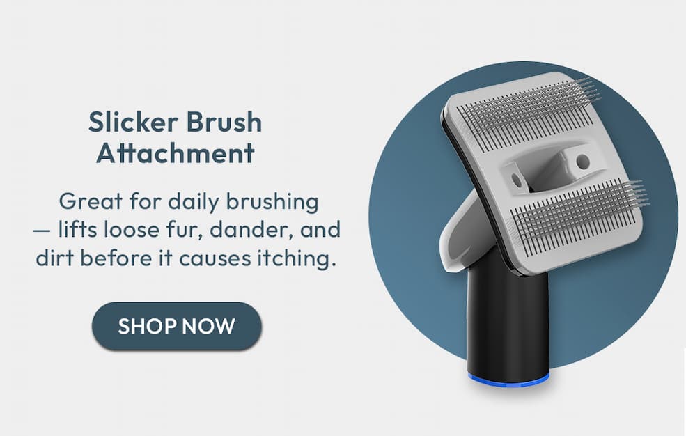 Slicker Brush