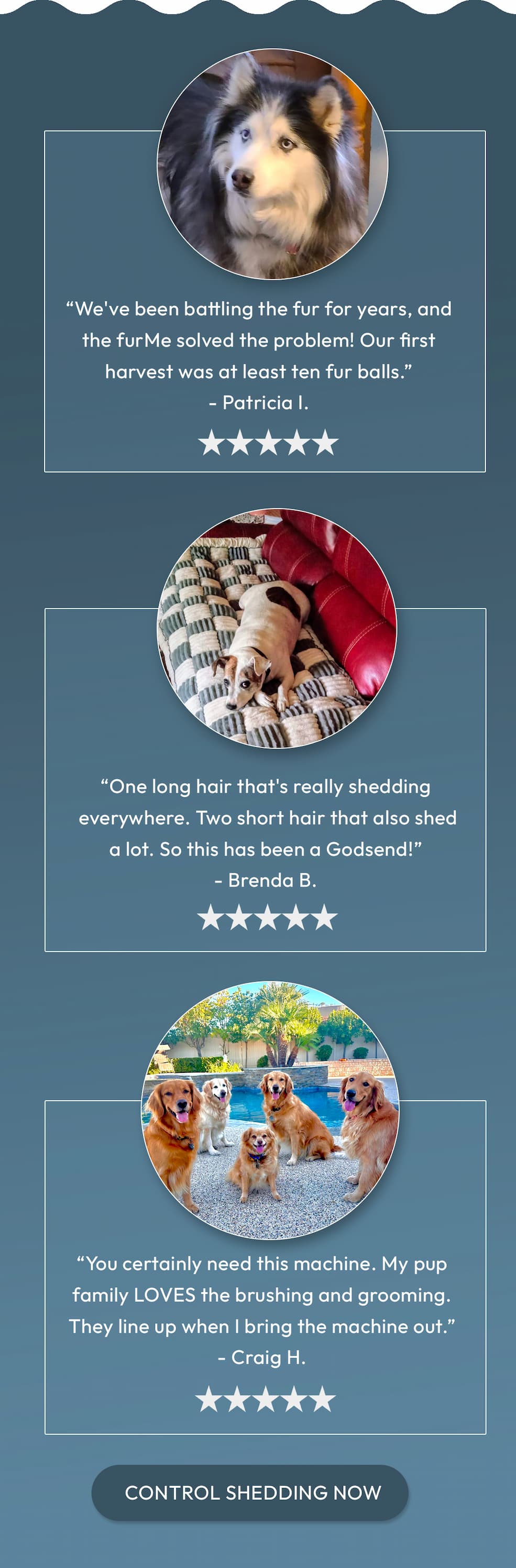 ReviewCONTROL SHEDDING NOW